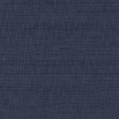 Kasmir WITH A VIEW      INDIGO          